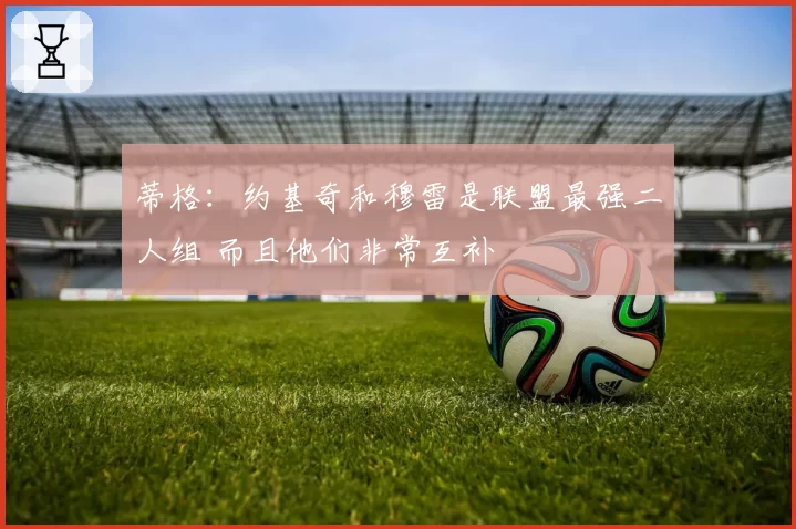 蒂格：约基奇和穆雷是联盟最强二人组 而且他们非常互补