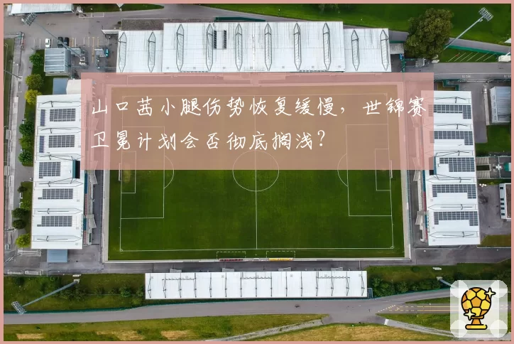 山口茜小腿伤势恢复缓慢,世锦赛卫冕计划会否彻底搁浅?