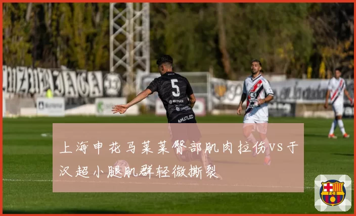 上海申花马莱莱臀部肌肉拉伤vs于汉超小腿肌群轻微撕裂